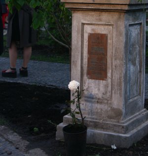 На честь Анни Ярославівни назвали троянду