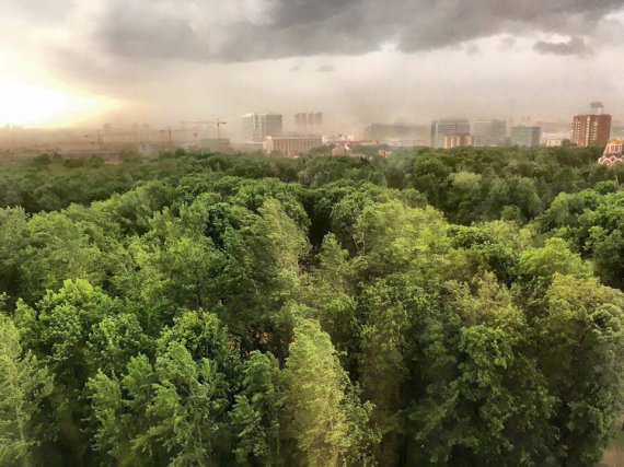 В результаті сильного вітру з дощем 29 травня в Москві загинули 11 осіб