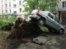 В результате сильного ветра с дождем 29 мая в Москве погибли 11 человек