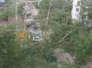 В результате сильного ветра с дождем 29 мая в Москве погибли 11 человек