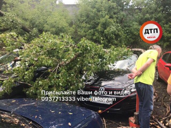 Вітер повалив дерева на машини