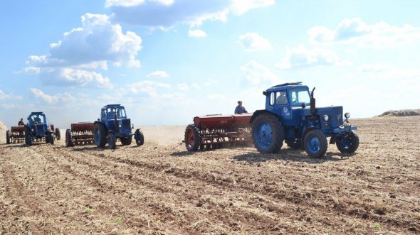 Формула "мінімальна ціна плюс довічна рента" захищає селянина від несправедливого обезземелення. А ще фактично гарантує можливість викупу орендованої землі фермерами, якої вони будуть позбавлені в разі прийняття будь-якого іншого закону про обіг сільгоспземель. Фото: Укрінформ