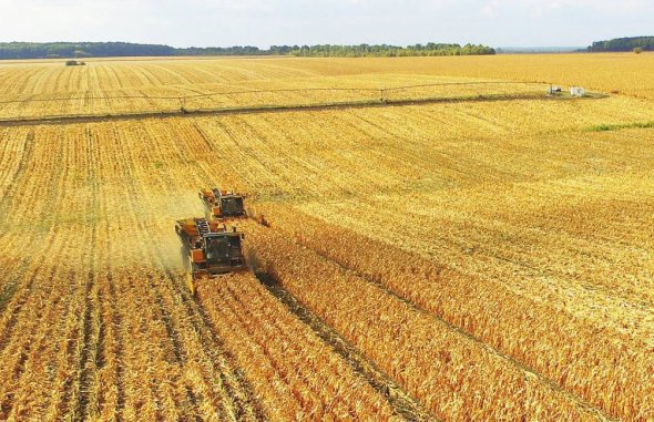 Майбутній Закон "Про обіг землі сільськогосподарського призначення" має стати Земельною Конституцією України, гарантом національних земельних інтересів і, відповідно, національної безпеки України, переконаний Аркадій Корнацький