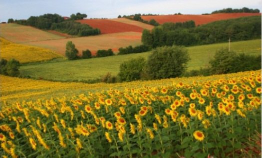 Земля - це власність народу. Це право закріплене в Конституції. Фото: Інфоіндустрія