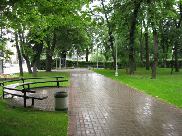 Новий парк розміститься на території існуючого соснового бору уздовж вулиці Симоненка