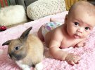 Фото милих немовлят і кроликів