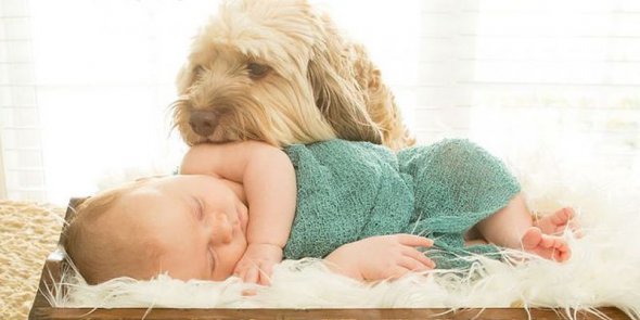 Фото новорожденных и собак
