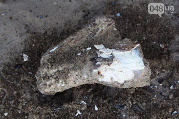 Древні останки мамонта чи мастодонта знайшли у національному парку "Тузловські лимани", що в Одеській області.