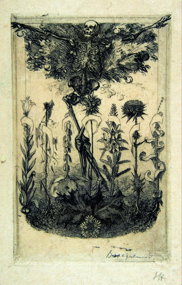 Фелікс Бракмон (1833–1914). Квіти зла. Малюнок за мотивами однойменної збірки Шарля Бодлера