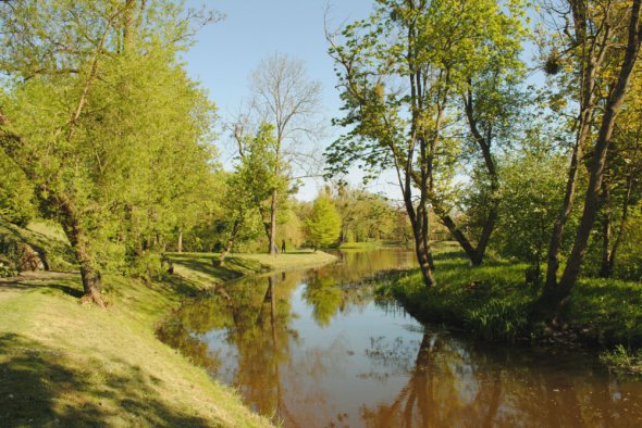 Англійський парк біля палацу в Галінах