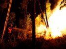 Португалію охопили лісові пожежі