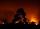 Португалию охватили лесные пожары