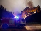 Португалію охопили лісові пожежі