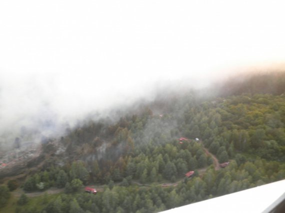 Масштабна лісова пожежа в Чорнобильській зоні відчуження