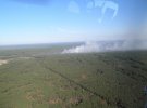 Масштабный лесной пожар в Чернобыльской зоне отчуждения