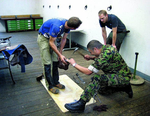 Швейцарські військові вчаться робити підкови. Коней досі використовують у гірських операціях. В армійських стайнях тварин беруть напрокат для туристичних мандрівок