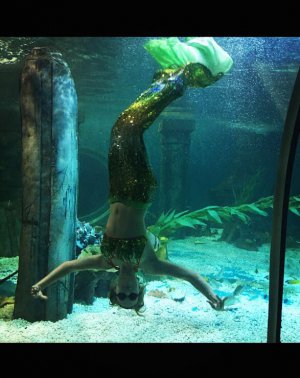 Ксенія Копил виступає в акваріумі китайського ресторану. Працювати русалкою почала з 18 років