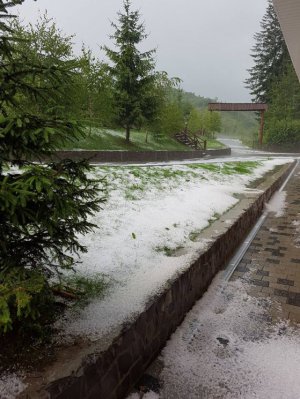 Сніг у Воловецькому районі Закарпаття випав 15 липня. Місцеві кажуть, такого в регіоні не було кілька десятків років