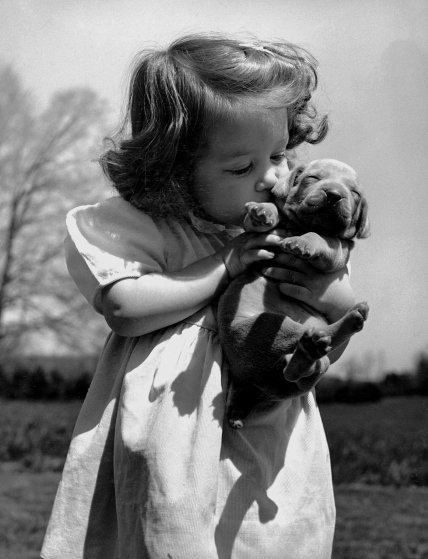Крістіна Голдсміт ніжно цілує цуценя веймарскої лягавої, розведенням яких займається її батько, 1950 рік.