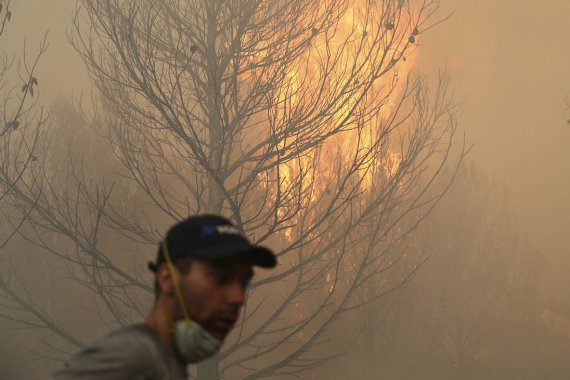 Лісова пожежа у селищі Мравінца, Хорватія, 17 липня 2017
