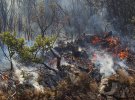 Лесной пожар около Тивата, Черногория, 19 июля 2017
