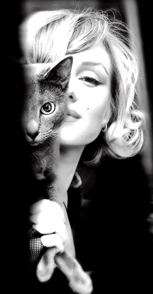 Мэрилин Монро с котом