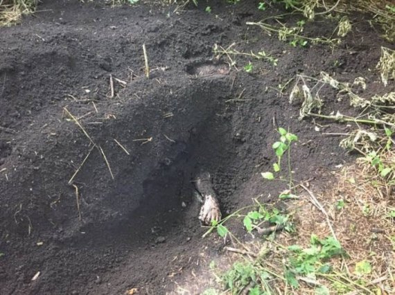 Тіло 19-річного чоловіка із села Жеребкове Ананьївського району Одещини знайшли закопаним в лісі