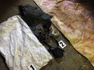 Заключенный Одесского СИЗО убил и расчленил сотрудницу следственного изолятора