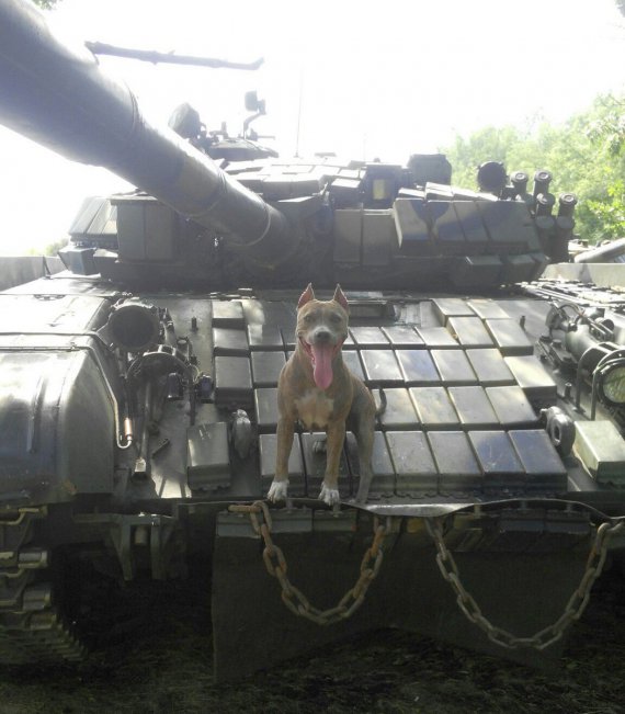 Фото русских танков выложили пользователи соцсетей