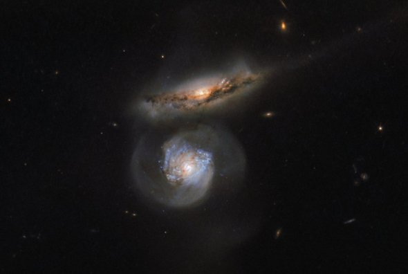 Верхня галактика має позначення MCG + 01-38-004, а нижня MCG + 01-38-005.