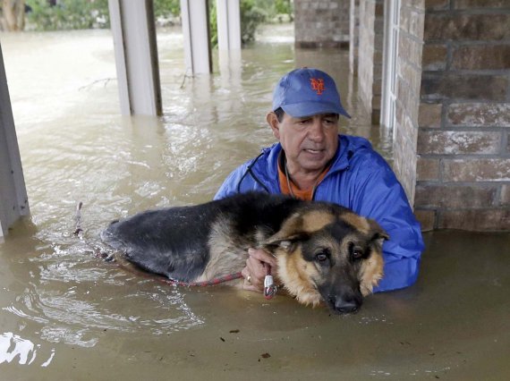 Джо Гарсія несе свою вівчарку Хайді із затопленого будинку
