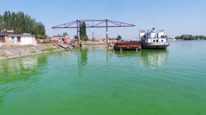 Наприкінці серпня в Україні важко знайти річку, в якій би не зеленіла вода
