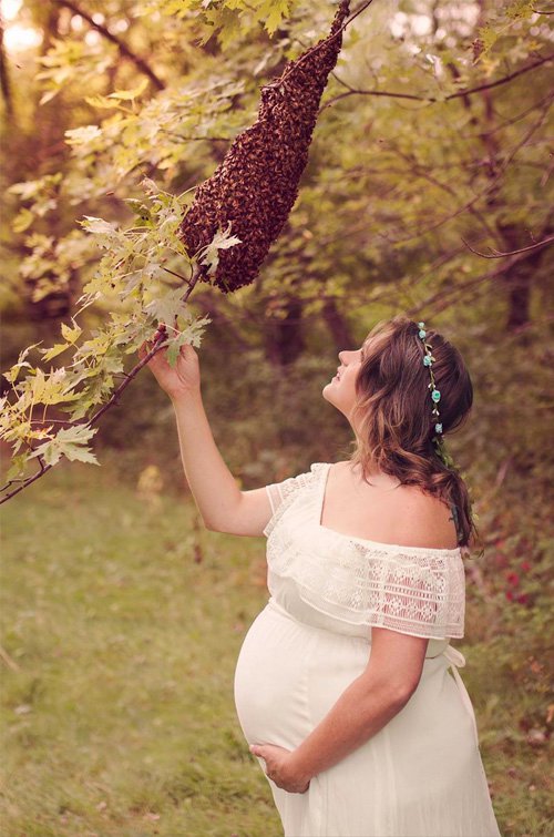 Фотосесія вагітної Емілі Мюллер з бджолами