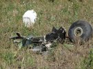 У результаті аварії легкого одномоторного літака, який проводив авіаційно-хімічні роботи, постраждав пілот. 