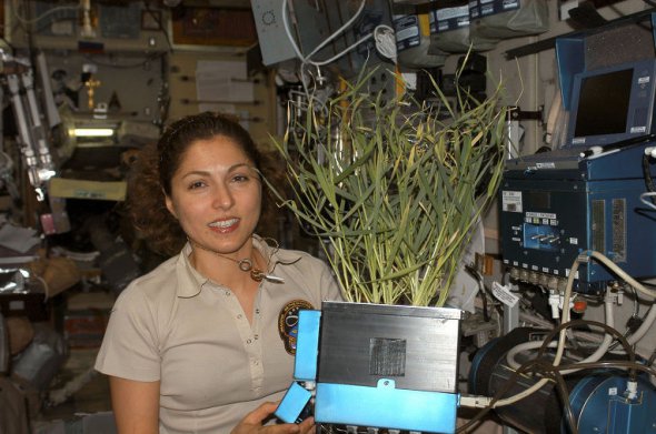2006 року американка іранського походження Ануше Ансарі стала першою жінкою, яка полетіла в космос як турист.