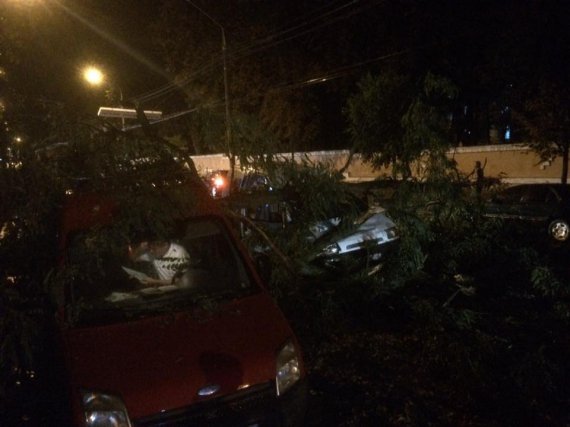 В Черновцах в результате внезапной бури, пронеслась над городом, повалены десятки деревьев, сорваны билборды и повреждены автомобили.