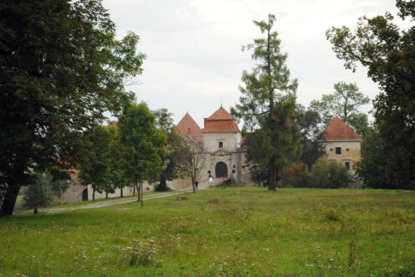 Свірзький замок