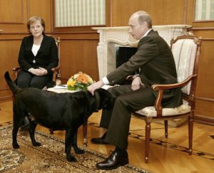 2007 року під час зустрічі Володимира Путіна з канц­лером Німеччини Анґелою Меркель у Сочі в кімнату забіг лабрадор президента РФ. Меркель пізніше зізналася, в минулому її вкусив пес. Путін знав про це. Спеціально зробив так, щоб впустили тварину, сказала