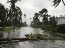 Ураган "Марія" на Домініці