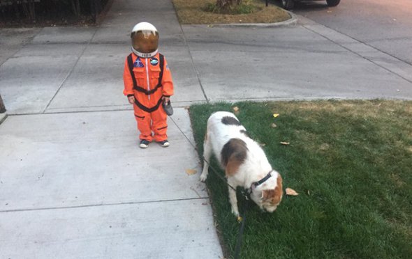 Мальчик в костюме астронавта, который выгуливает своего пса