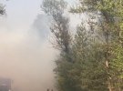 Лісова пожежа під Кременчуком охопила 5 га. За кілометр від вогню - дачі.