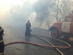 Пожежники гасять ліс у Кременчуцькому районі на Полтавщині. Пожежа почалася 22 вересня. Вигоріло 29 гектарів
