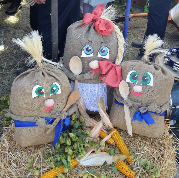 З 20 по 23 вересня відбулася V Міжнародна агропромислова виставка з польовою демонстрацією техніки AGROEXPO-2017