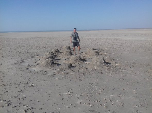 Дніпровський орнітолог з колегами знайшов гнізда фламінго на Херсонщині поблизу озеря Чурюк