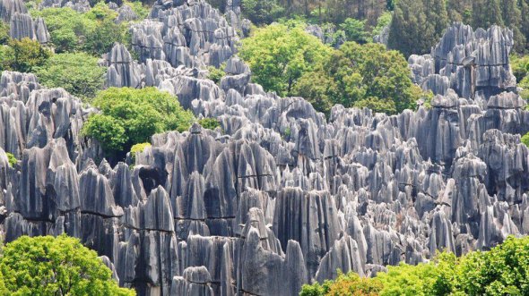 Каменный лес, Китай