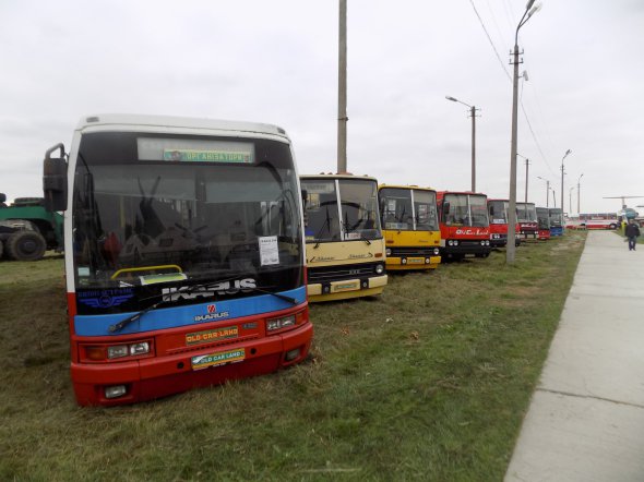 Около двух десятков автобусов советского, украинского и иностранного производства показали в Государственном музее авиации на фестивале старинной техники OldCarLand
