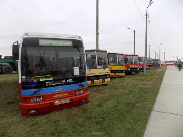 Близько двох десятків автобусів радянського, українського та іноземного виробництва показали у Державному музеї авіації на фестивалі старовинної техніки OldCarLand