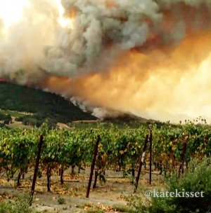 Заграву та дим від лісових пожеж видно здалеку