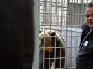 Как во Львове спасли 16-летнюю медведицу Маню, которая жила на территории ресторана