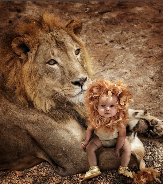 Фантастические снимки про детей и животных